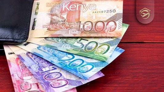 اقتصاد و منابع مالی و درآمدی کنیا